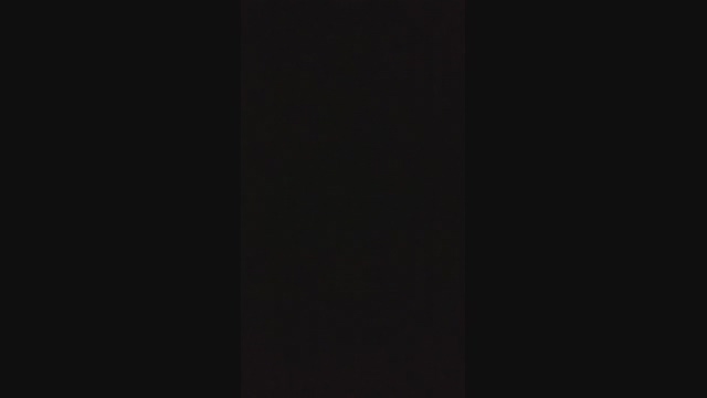 rex_2327  29-04-2022